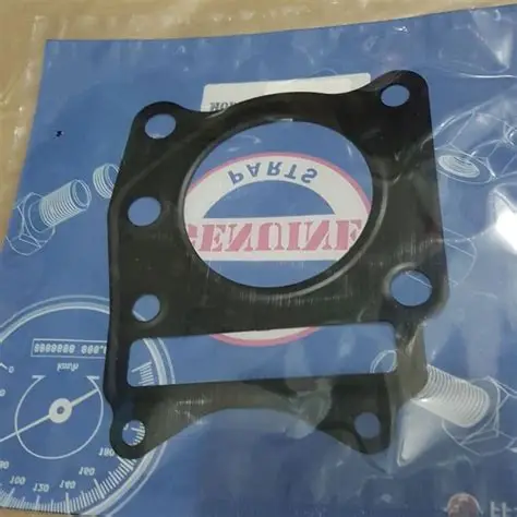 [M1010660] GASKET CYLINDER